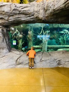 50FB0F61-3C81-4643-B186-B51B91316765