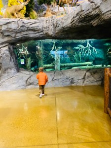 72AD0028-6389-4D9E-A40F-B1BB19C0DE48